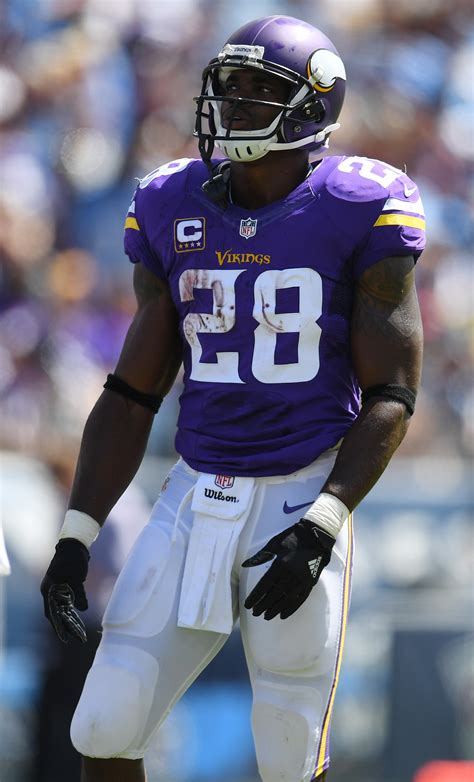 adrian peterson vikings